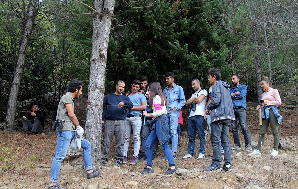 Artım Burgusu Yaş Tespiti