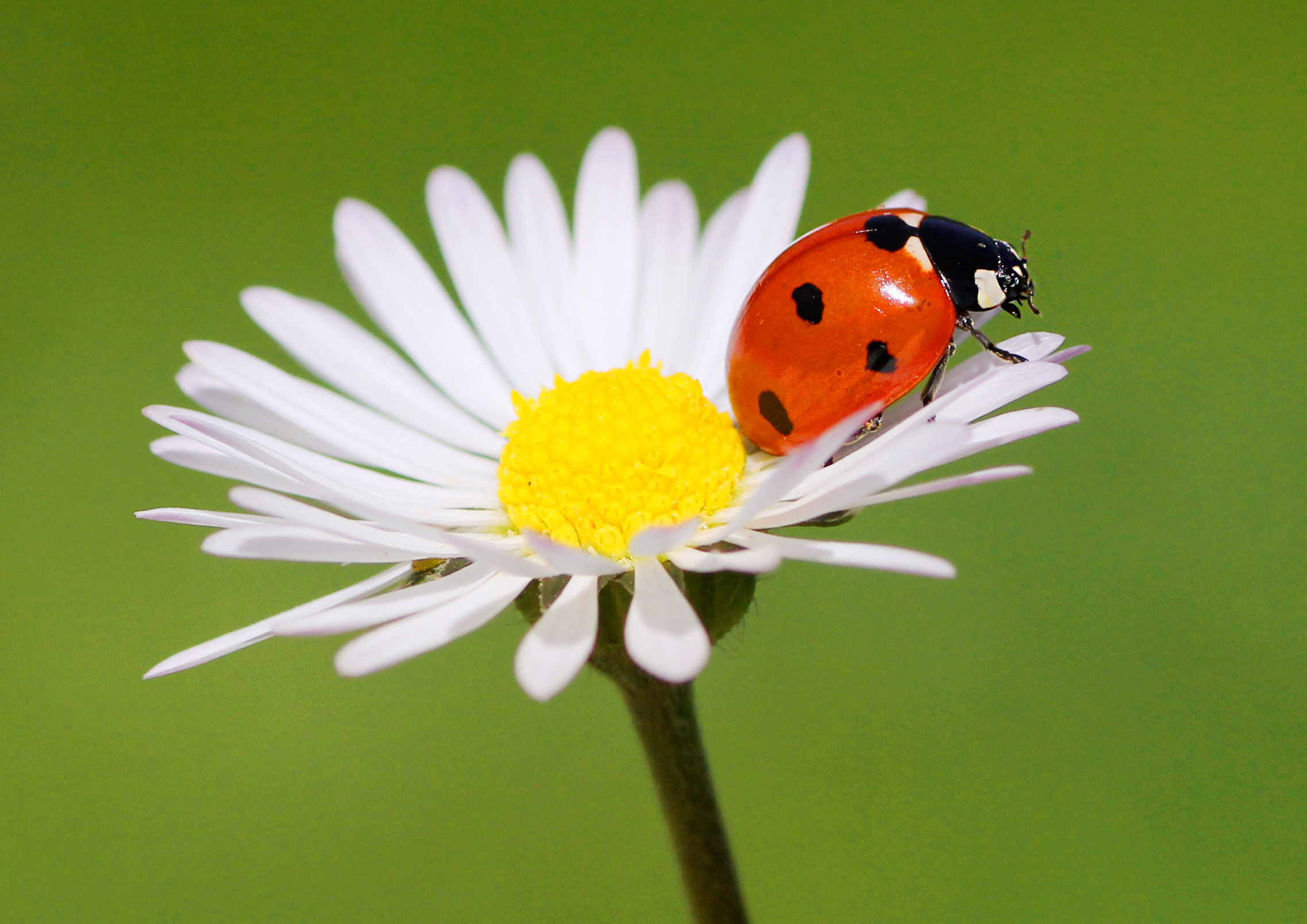 Öğr.Gör. Ragıp SARI'nın Objektifinden Doğa Fotoğrafları